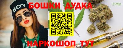 дмт Нальчик