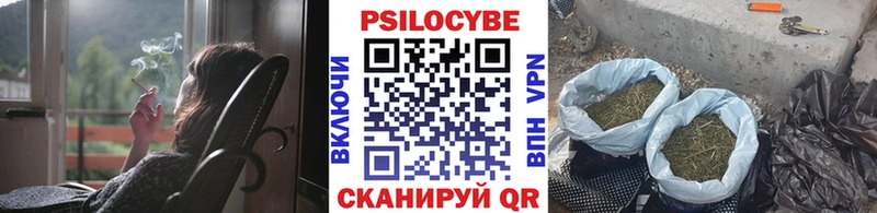 Псилоцибиновые грибы Psilocybe  mega   Мегион  продажа наркотиков 